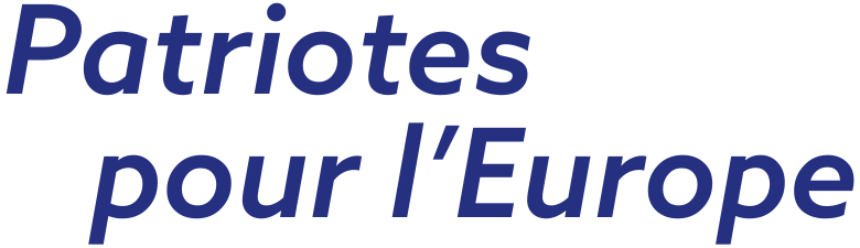 Matthieu Valet, Députais Français au Parlement Européen